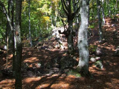 Прикрепленное изображение: DSCF5836.jpg